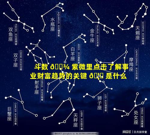 斗数 🌾 紫微里点击了解事业财富趋势的关键 🦋 是什么